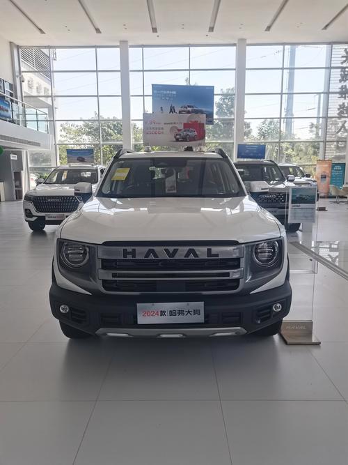 哈弗大狗边牧,哈弗大狗边牧版图片