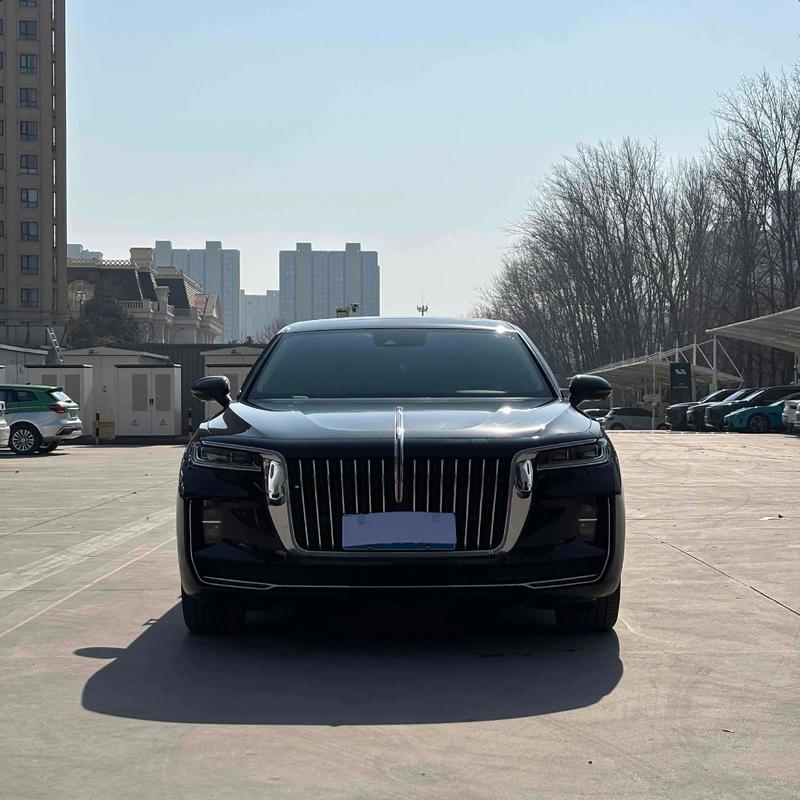 汽车红旗h9价格 汽车红旗h9价格及图片