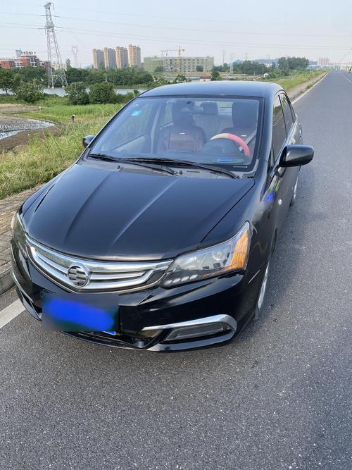 理念s1多少钱 理念s1是什么车型